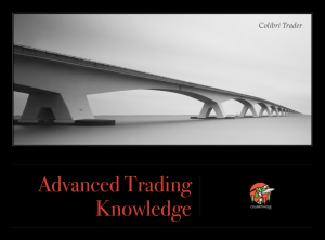 Advanced Trading Knowledge EBOOK