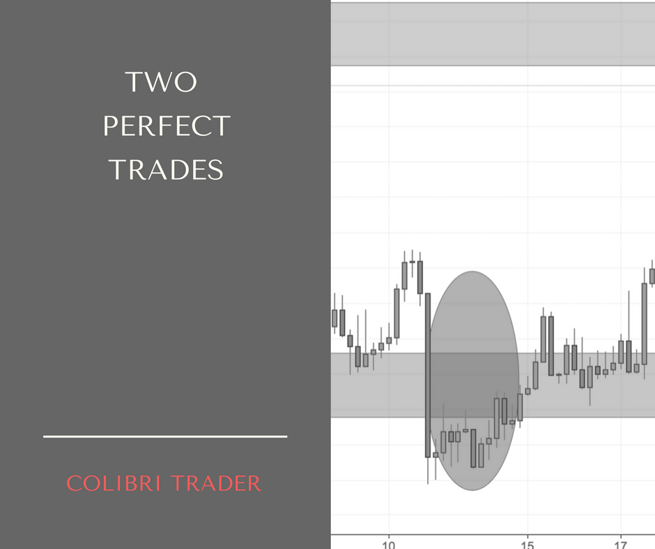 2 Great Trades I Took Recently- is it a coincidence that NZDUSD and Crude Oil moved in the same direction