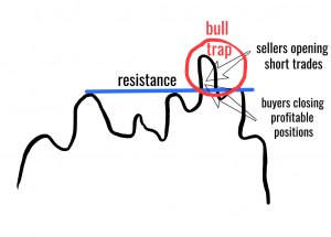 Bull Trap