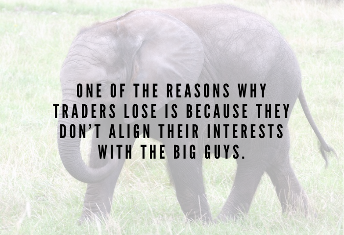 Traders Lose in trading