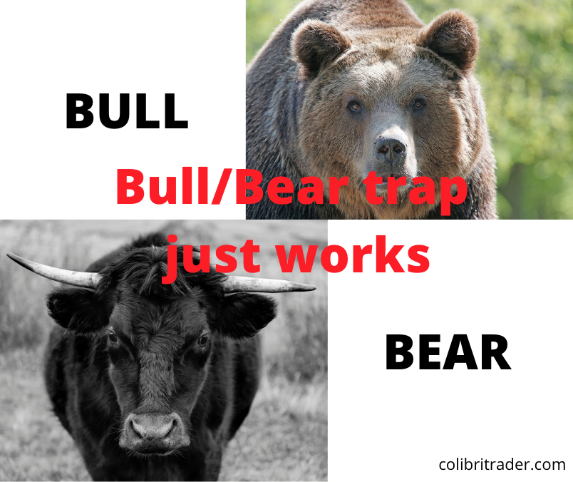 price action tips with bear traps