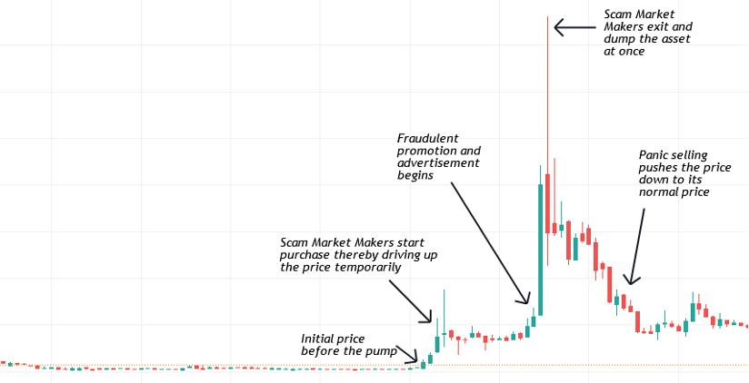 Pump And Dump Chart