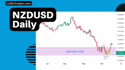 NZDUSD Trading Analysis 12/10/2022